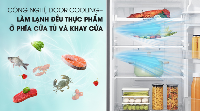 Tủ lạnh LG 255 lít Inverter GN-D255BL- công nghệ door cooling