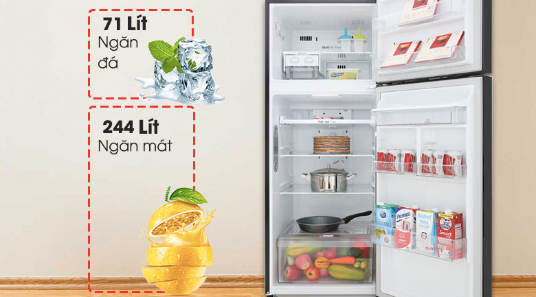 Tủ lạnh LG 315 lít GN-D315BL - dung tích tủ 315 lít