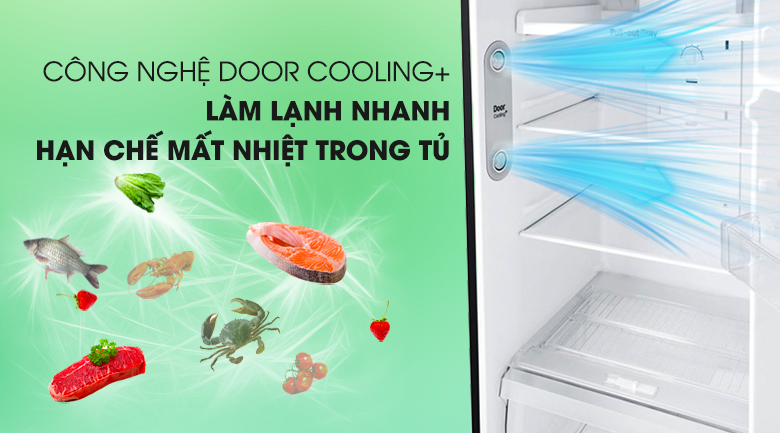 Tủ lạnh LG 315 lít GN-D315BL- làm lạnh nhanh