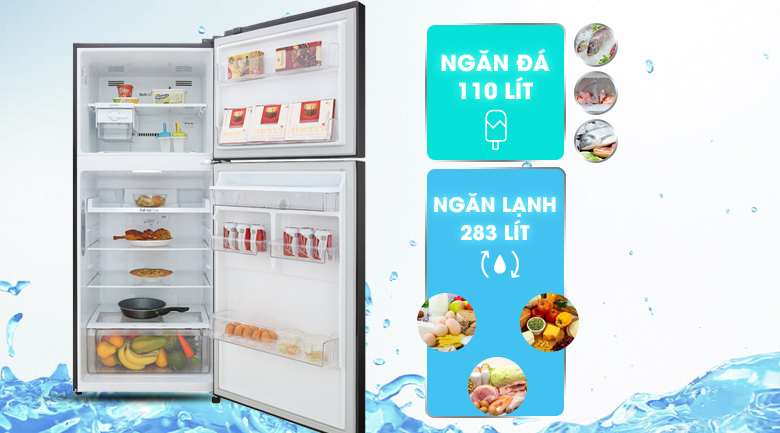 Tủ lạnh LG 393 lít GN-D422BL giá rẻ