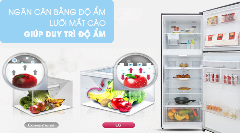 Tủ lạnh LG 393 lít GN-D422BL giá rẻ- cân bằng độ ẩm 