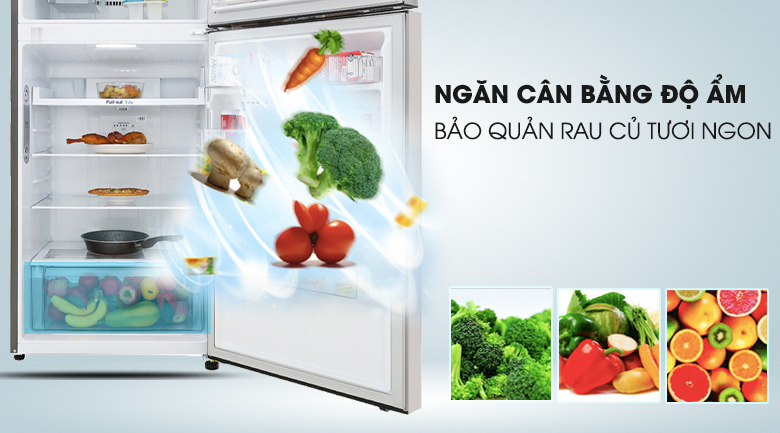 Tủ lạnh LG 393 lít GN-M422PS- cân bằng độ ẩm