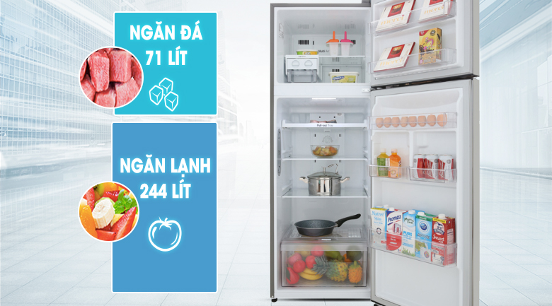Tủ lạnh LG  315 lít GN-M315PS- máy nén inverter