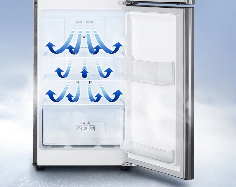 Tủ lạnh Samsung 208 lít RT19M300BGS/SV 
