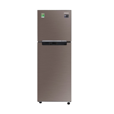 Tủ lạnh Samsung 236 lít RT22M4032DX/SV